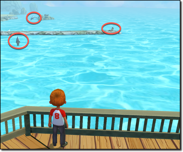 dolphins and sea lion from pier.png