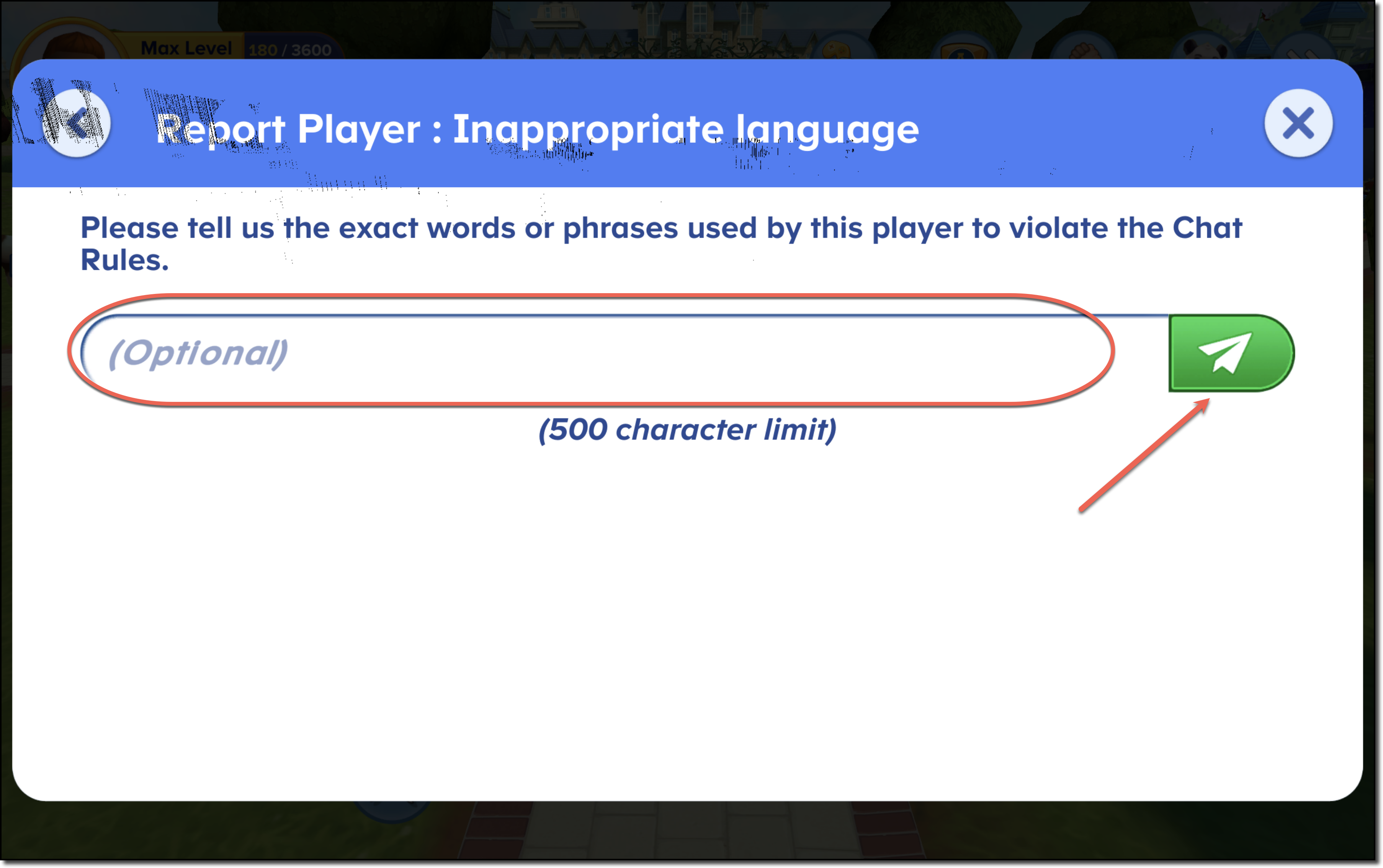 report player issue description.png