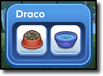 Caring for Pet Options.png